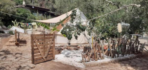 Farm Glamping tent on Acquaviva Bay